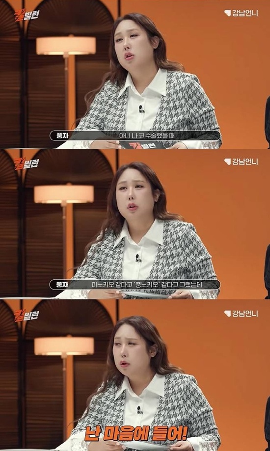 유튜브 '강남언니' 풍자