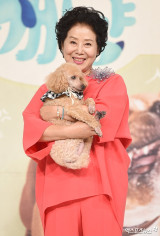 선우용여, 마당 딸린 '청담동 99평' 대저택…남편 빚 때문에 처분 고백 (순풍)