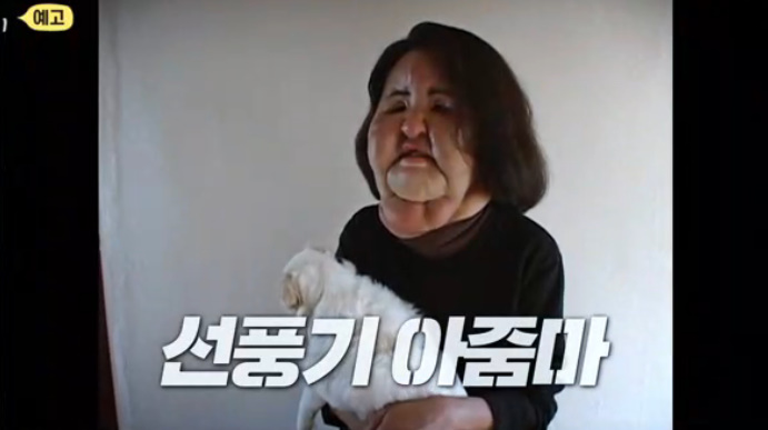 SBS '꼬리에 꼬리를 무는 그날 이야기'