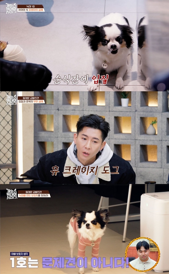 채널A '개와 늑대의 시간2'