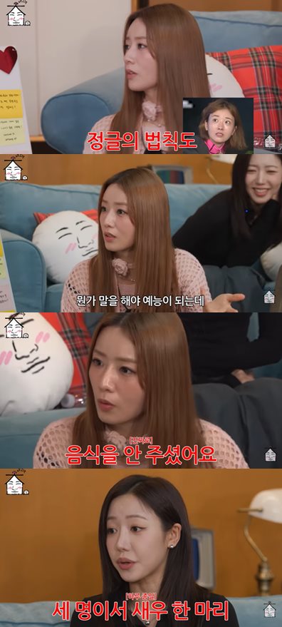 유튜브 '집대성'