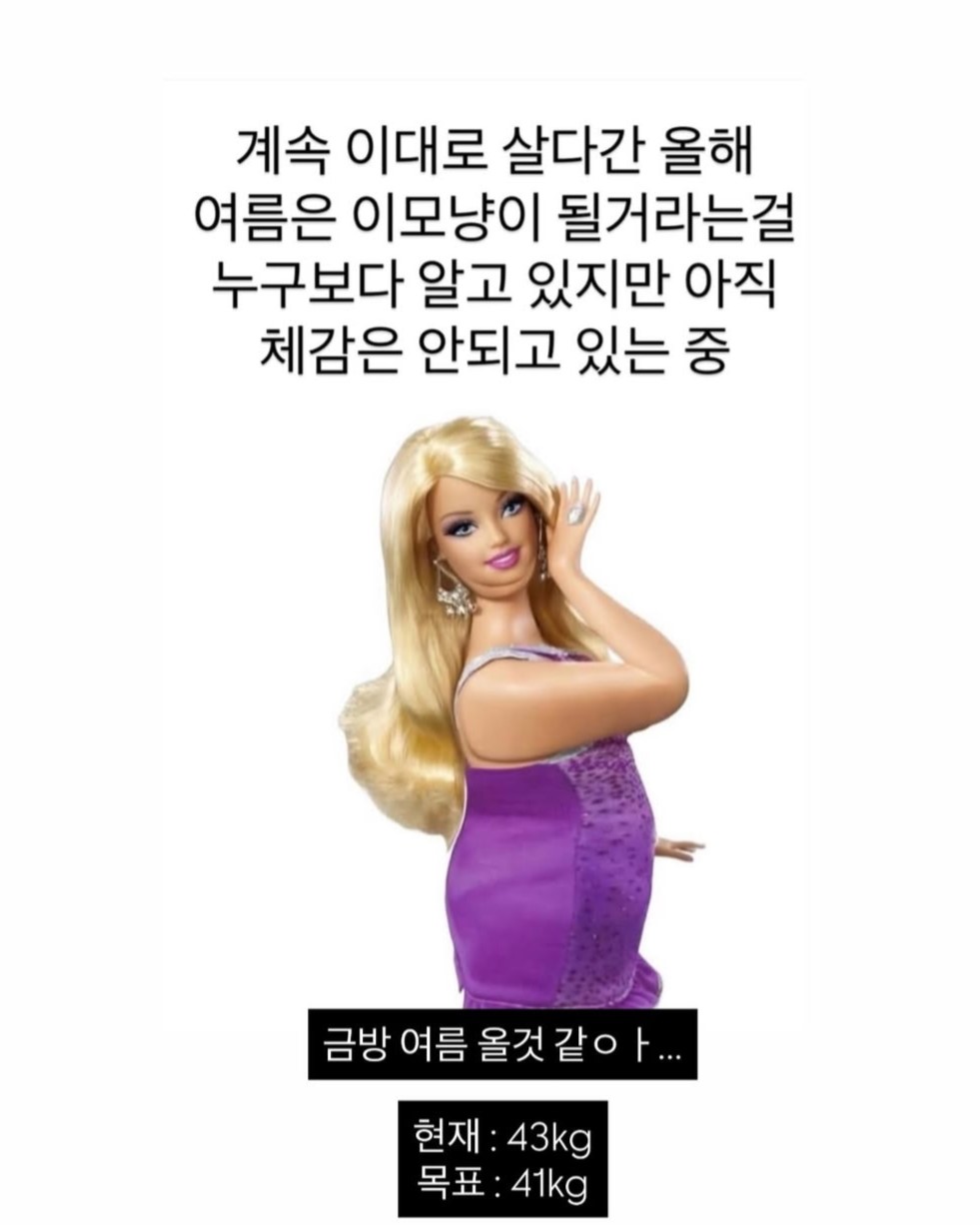 사진 = 최준희 인스타그램 스토리