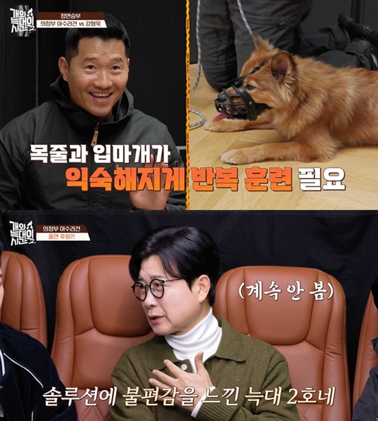 채널A '개와 늑대의 시간2'