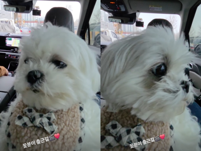 사진 = 구성환 인스타그램 스토리