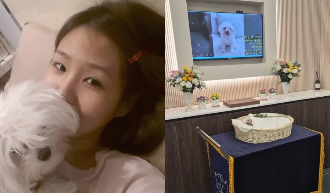 오정연 반려견 생전 모습과 장례식