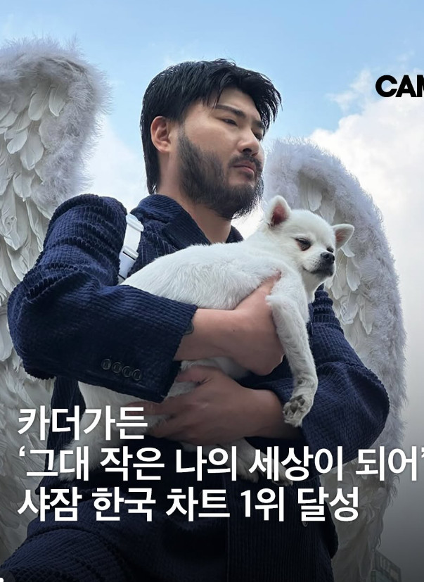 씨에이엠위더스 계정