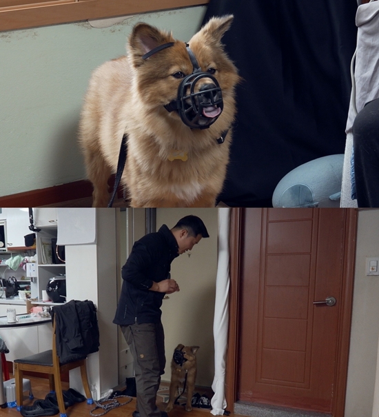 채널A '개와 늑대의 시간2'