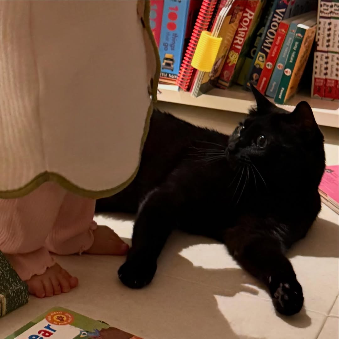 사진= 박수홍 SNS