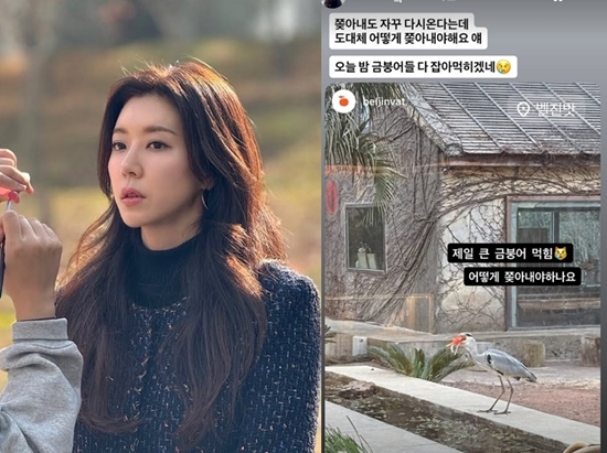 오윤아 개인 계정