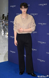 前 국세청 조사관이 본 '차은우 200억 탈세'…"저승사자 조사4국, 자신 있다는 뜻" [엑's 이슈]