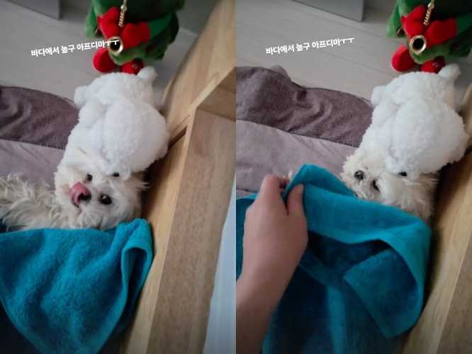 사진 = 구성환 인스타그램 스토리