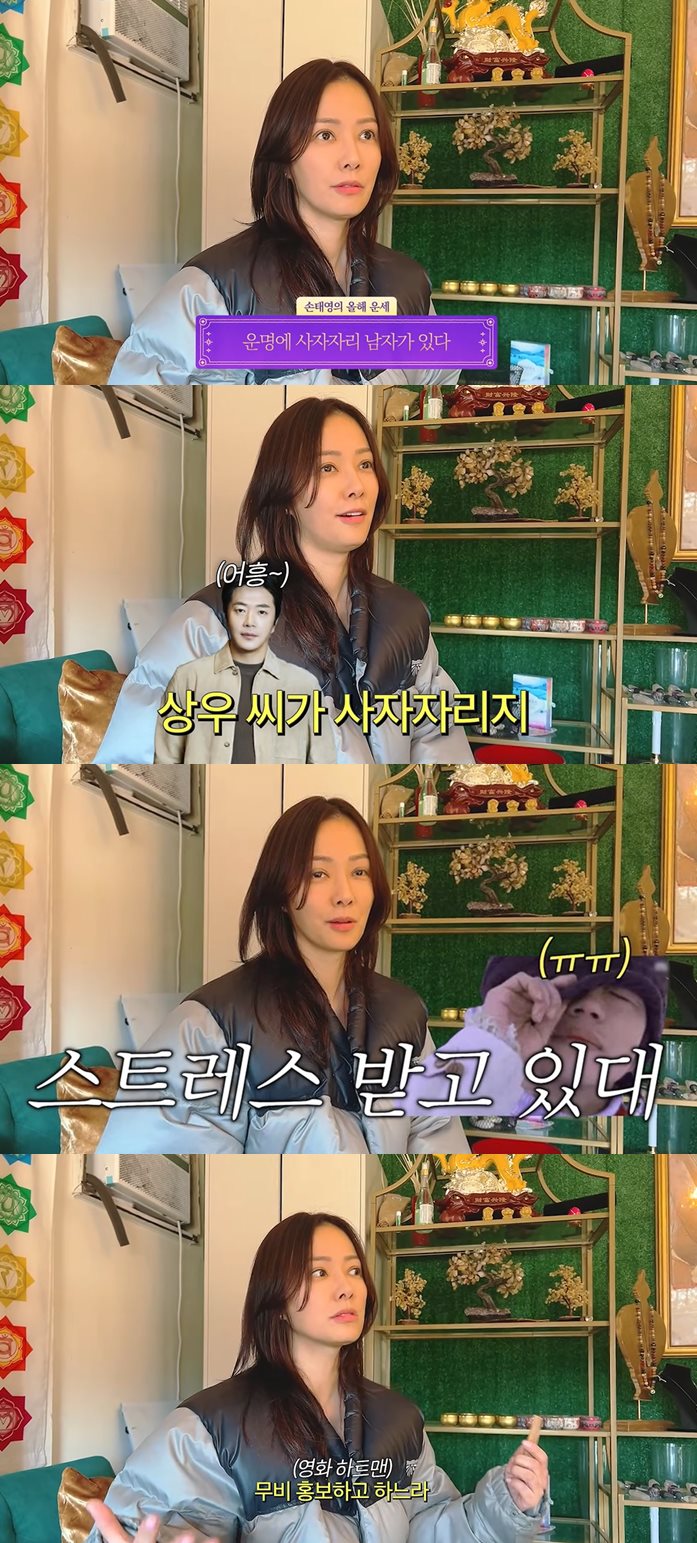 유튜브 'Mrs. 뉴저지 손태영'