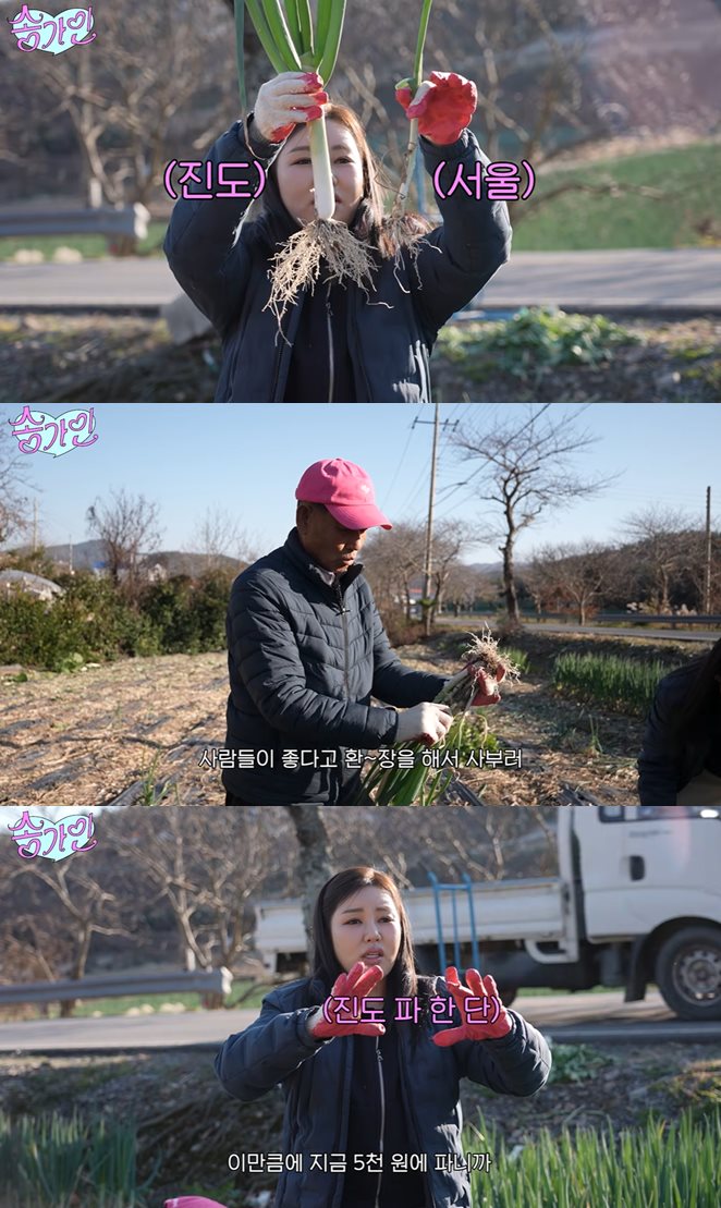 유튜브 '송가인'