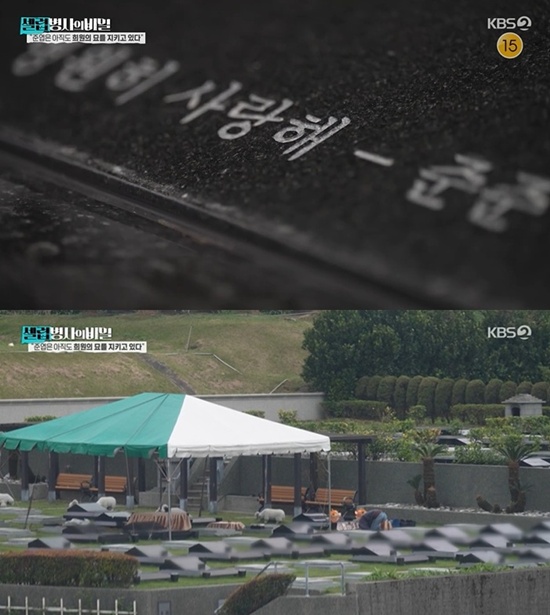 KBS 2TV '셀럽병사의 비밀'