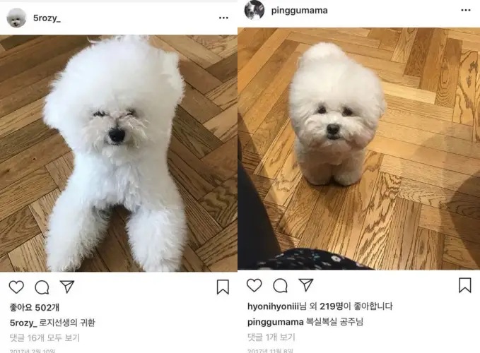 차정원, 황보라 SNS