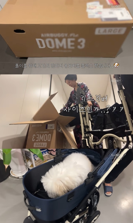 의사혜연 채널 캡처