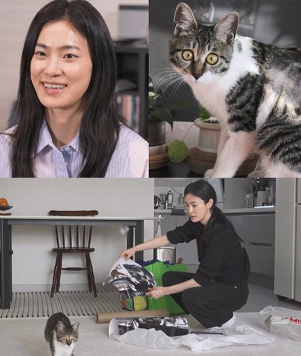 MBC '나 혼자 산다'