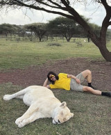 노홍철, '약에 취한 사자'와 인증샷 오해였다…현지 업체 "잘못된 정보" [엑's 이슈]