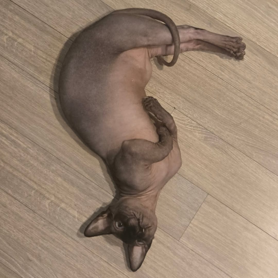 사진= 김대호 SNS