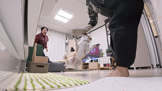 KBS 2TV '개는 훌륭하다'