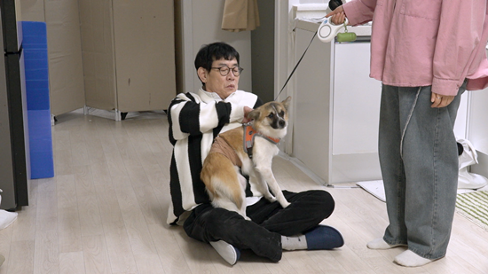 KBS 2TV '개는 훌륭하다'