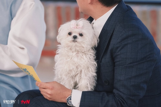 tvN ' 유 퀴즈 온 더 블럭'