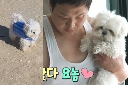 구성환이 공개한 반려견 꽃분이.