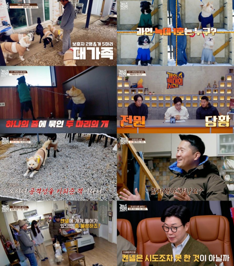 채널A '개와 늑대의 시간2'