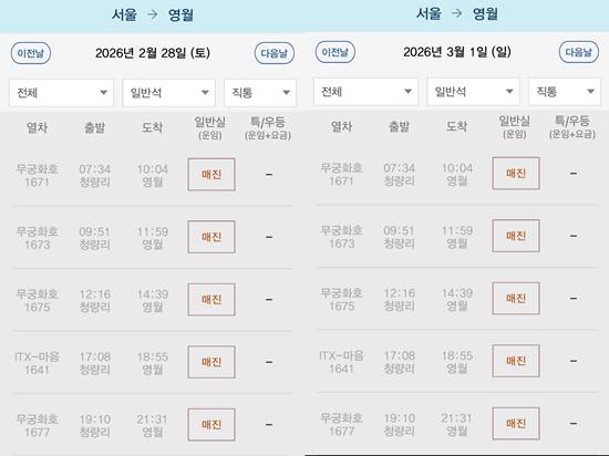 영월 매진 캡처