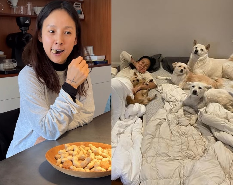 가수 이효리가 공개한 일상.