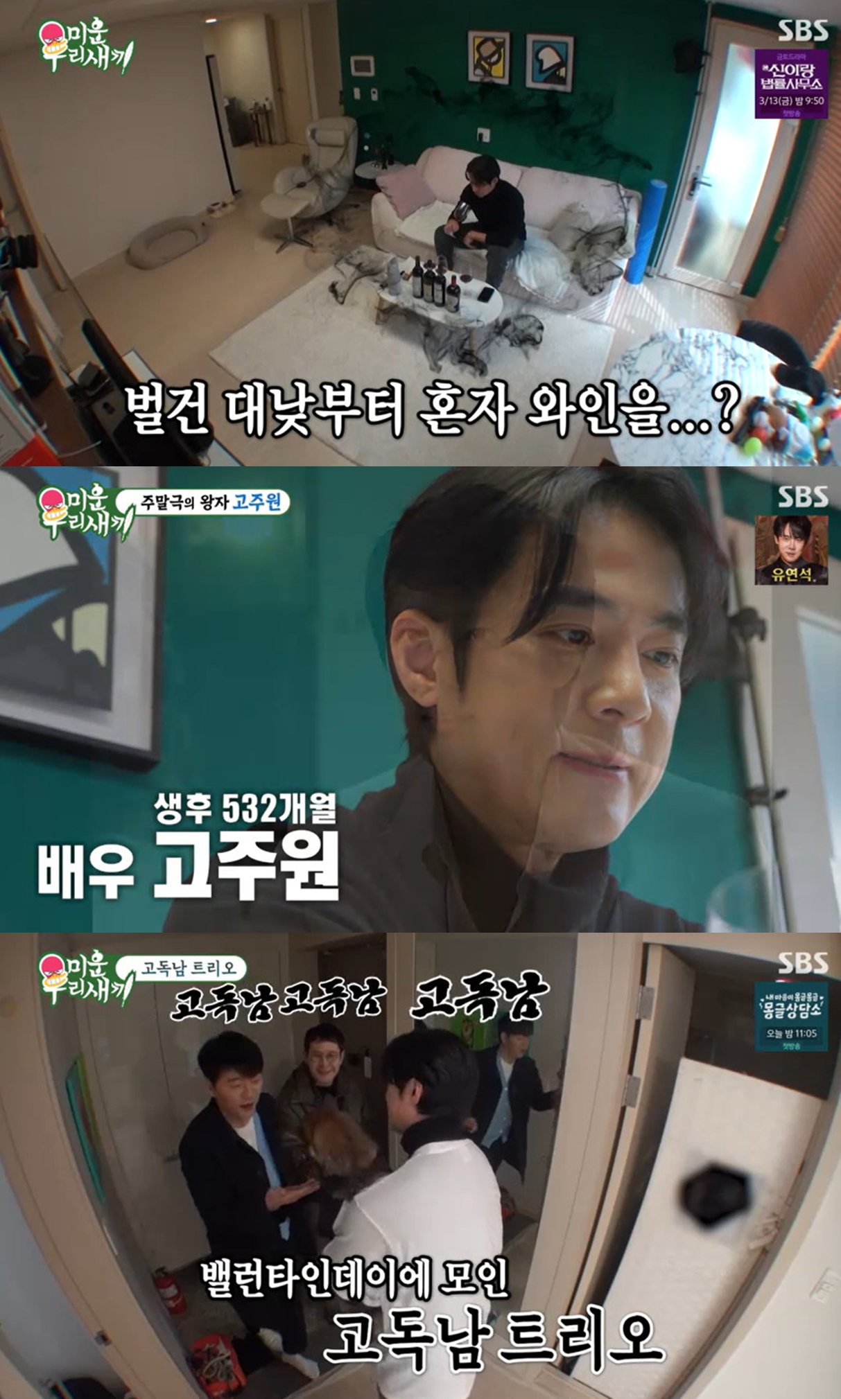 SBS '미운 우리 새끼'