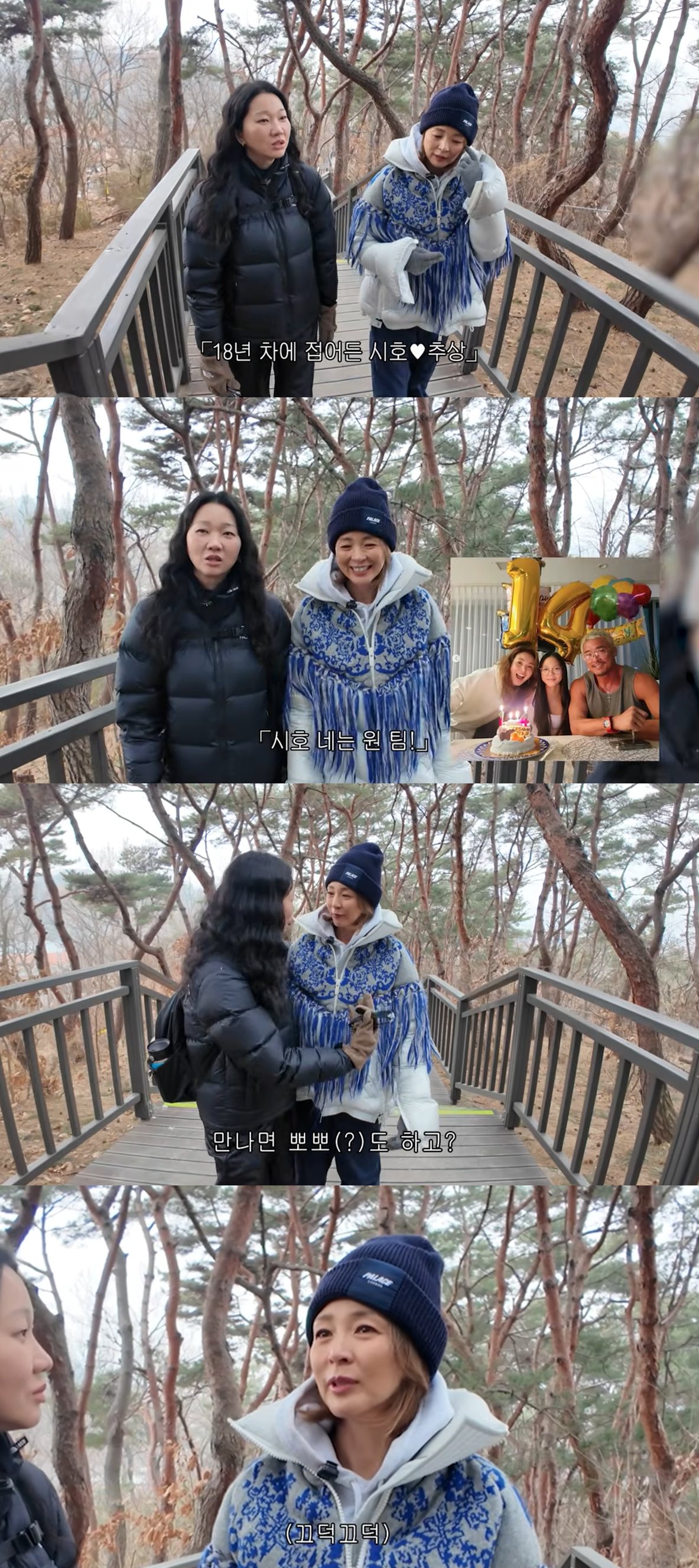 유튜브 '야노시호'