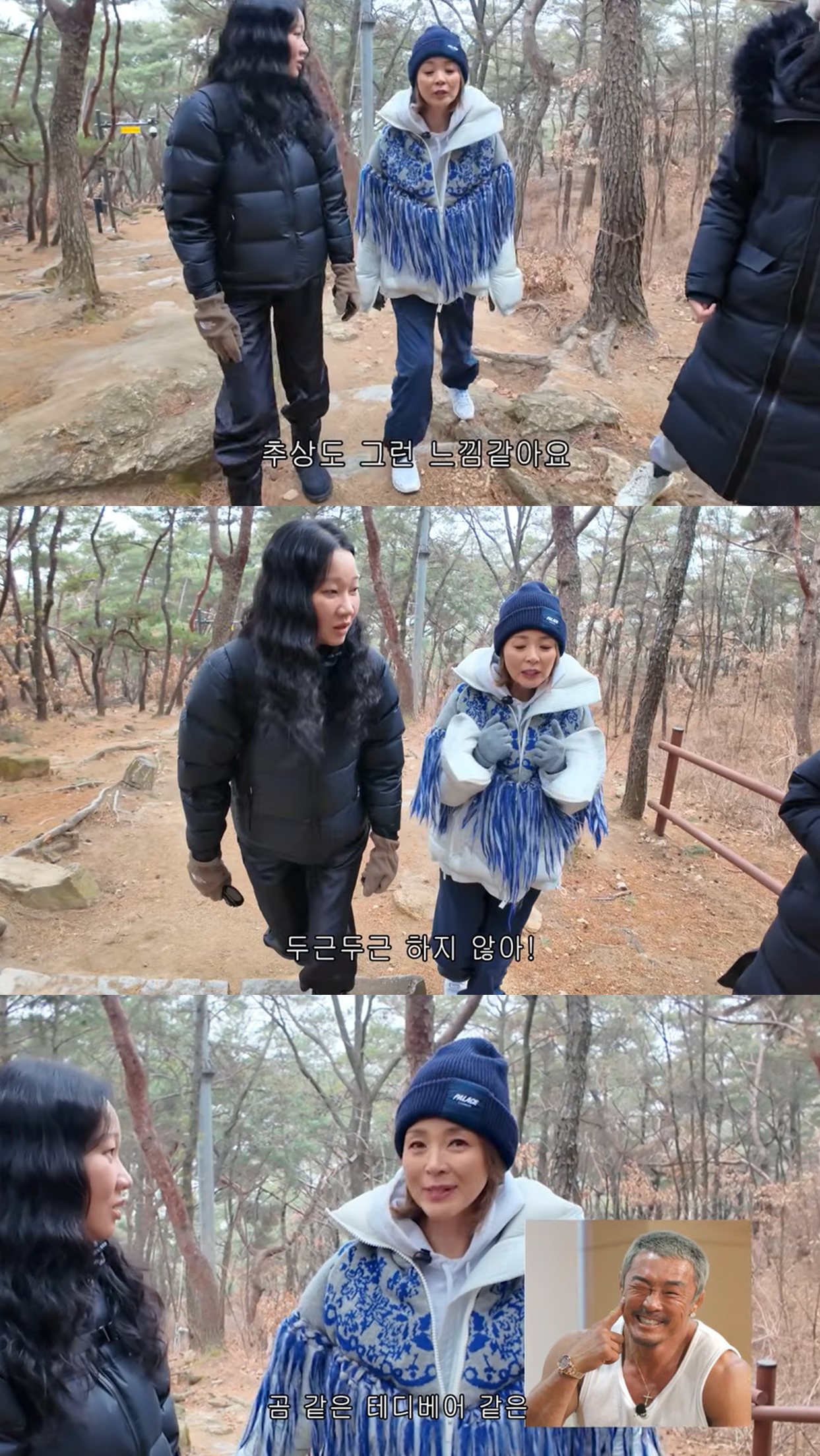 유튜브 '야노시호'