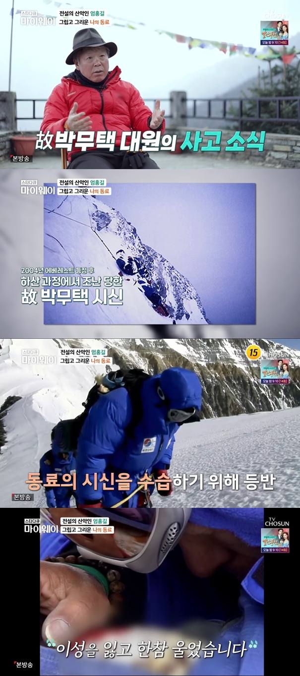 TV조선 방송화면