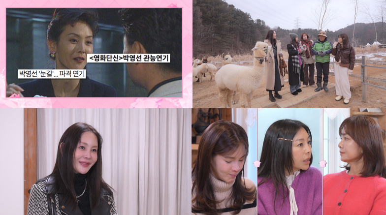 KBS 1TV '황신혜의 같이 삽시다'