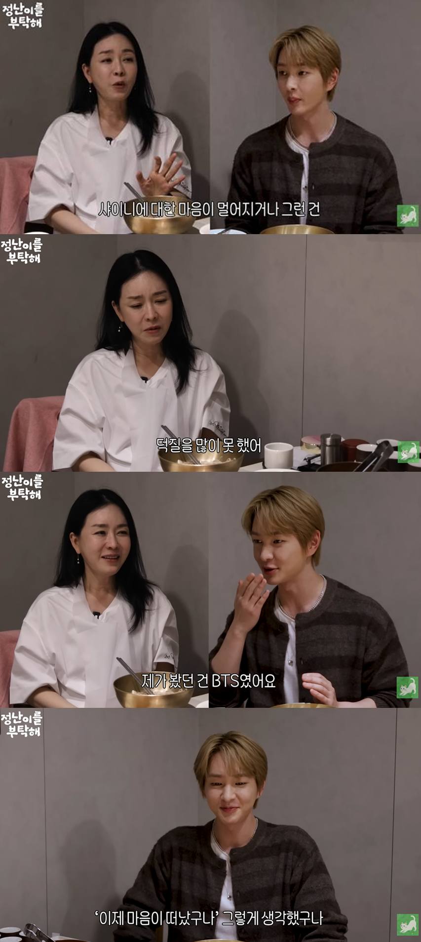 유튜브 '김정난'