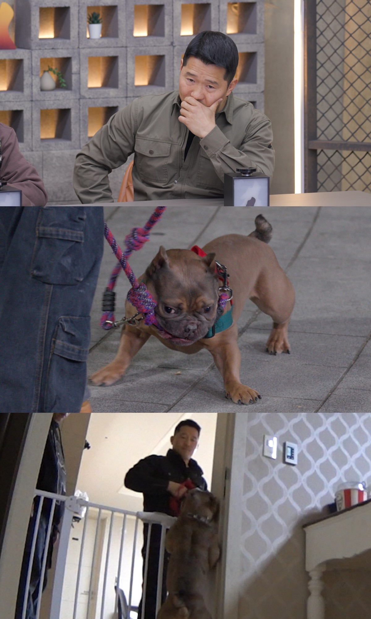 채널A ‘개와 늑대의 시간2'