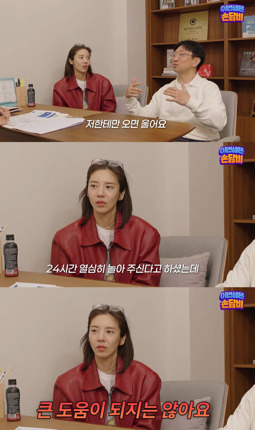 유튜브 '담비손'