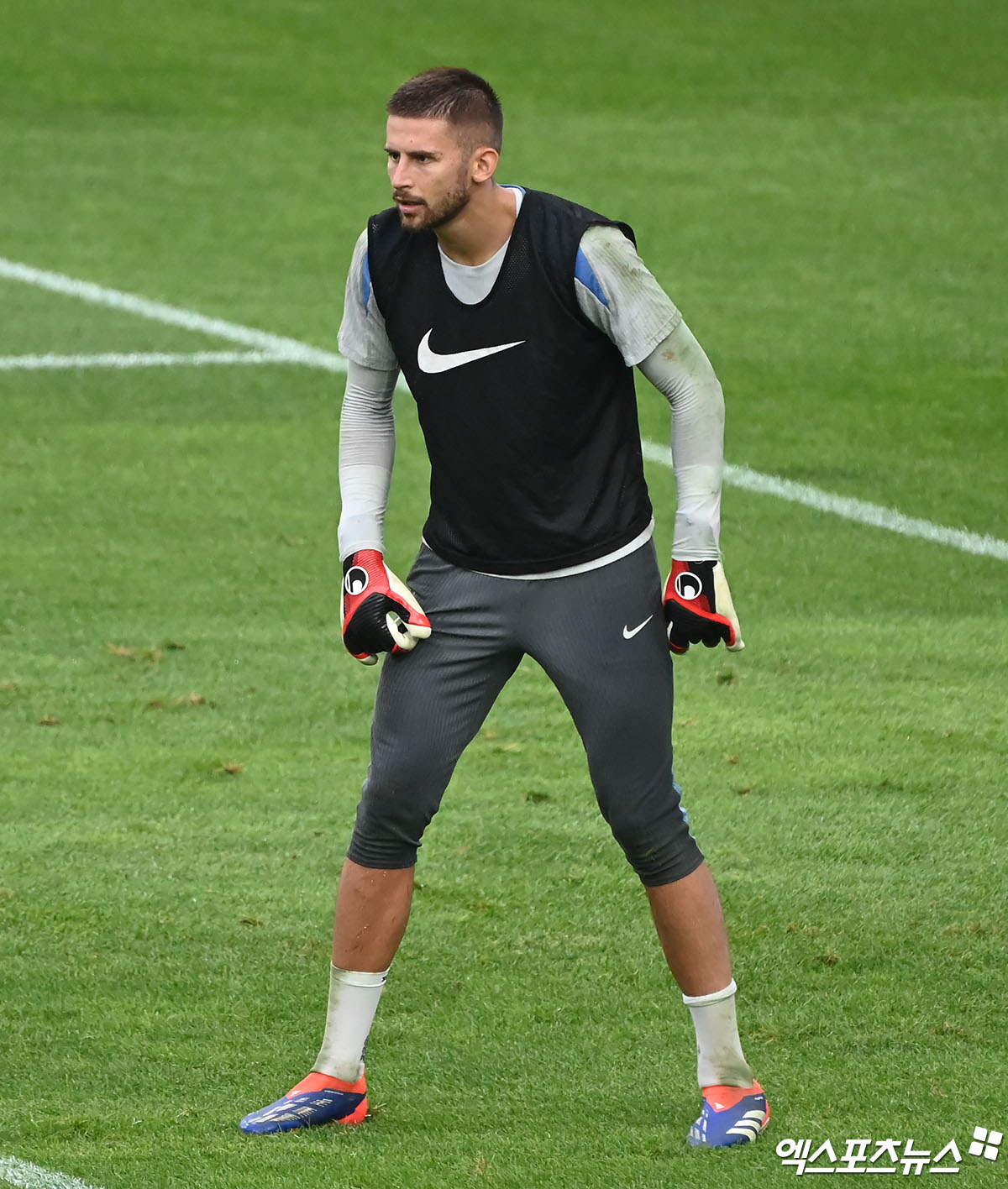 2022-2023시즌 손흥민이 그토록 힘겨워했던 탈장 이슈가 토트넘 홋스퍼에 다시 등장했다. 주전 골키퍼 굴리에모 비카리오가 주인공이다. 글로벌 스포츠 매체 '디 애슬레틱'은 21일 토트넘 골키퍼 비카리오가 다음 주 탈장 수술을 받아 한동안 결장할 거라고 보도했다. 매체에 따르면, 비카리오는 오는 22일 토트넘 홋스퍼-노팅엄 포레스트와의 225-2026시즌 프리미어리그 31라운드까지 출전하고 수술을 받을 예정이다. 손흥민도 2023년 5월까지 참았다가 시즌이 끝나자 탈장 수술을 받은 적이 있다. 엑스포츠뉴스DB