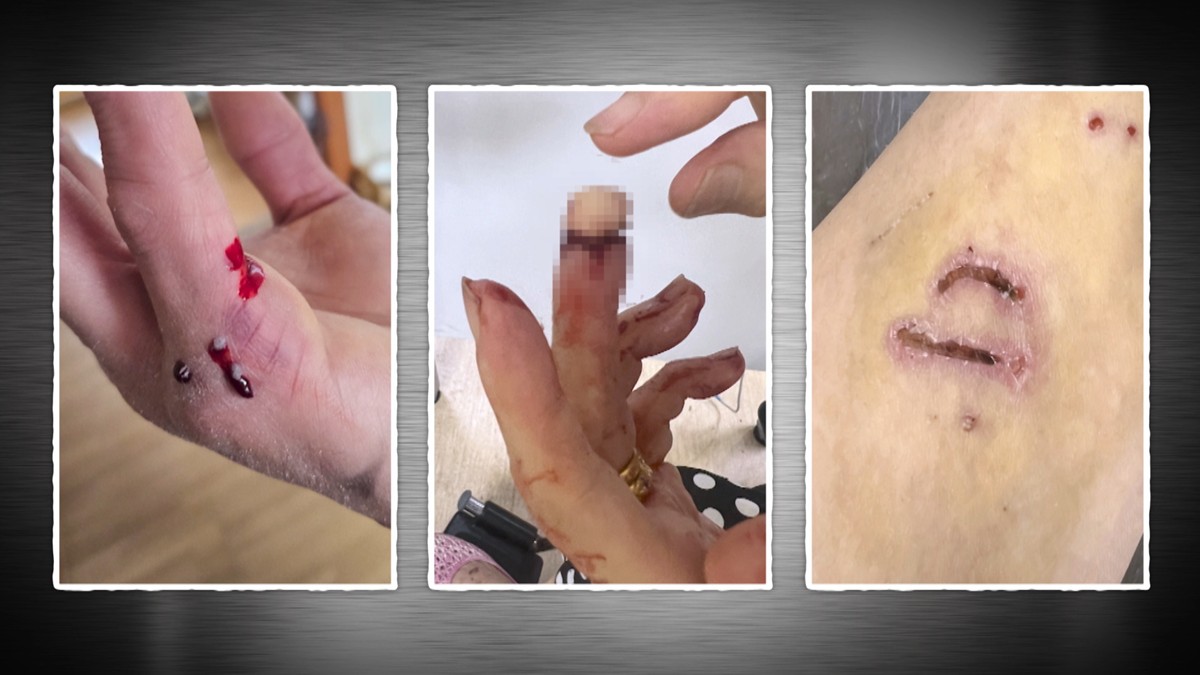 KBS2 ‘개는 훌륭하다’