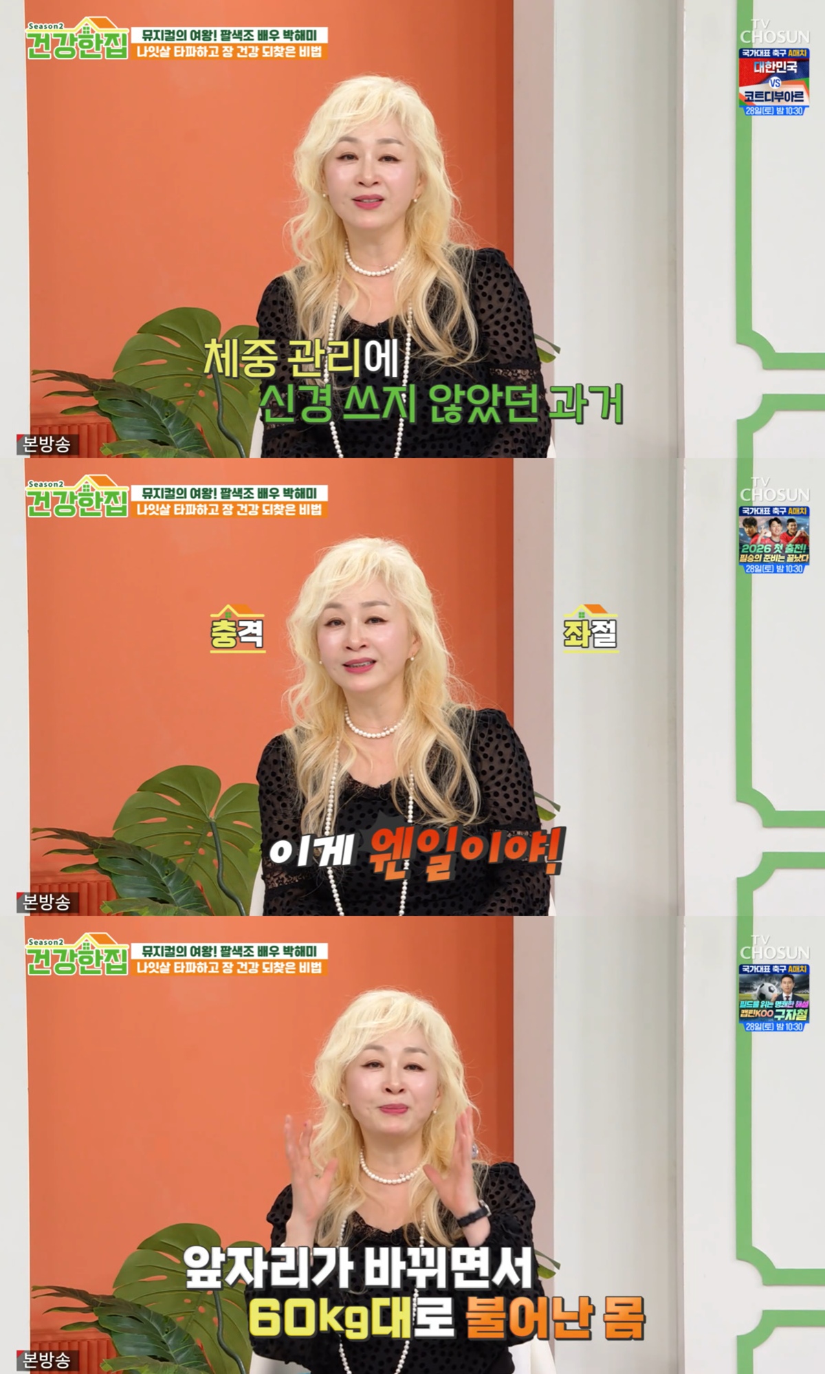  TV조선 '건강한 집2'