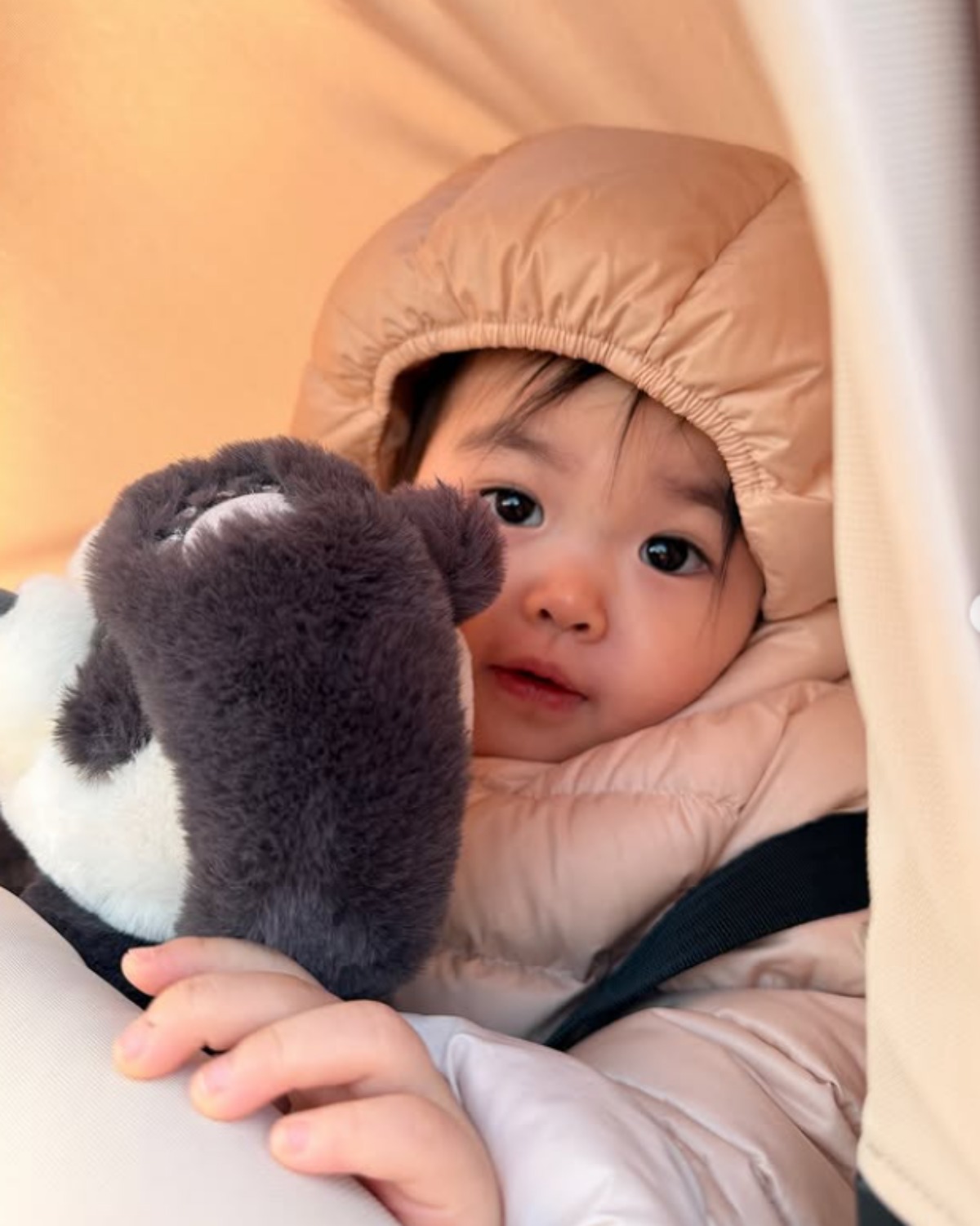 박수홍 딸 재이