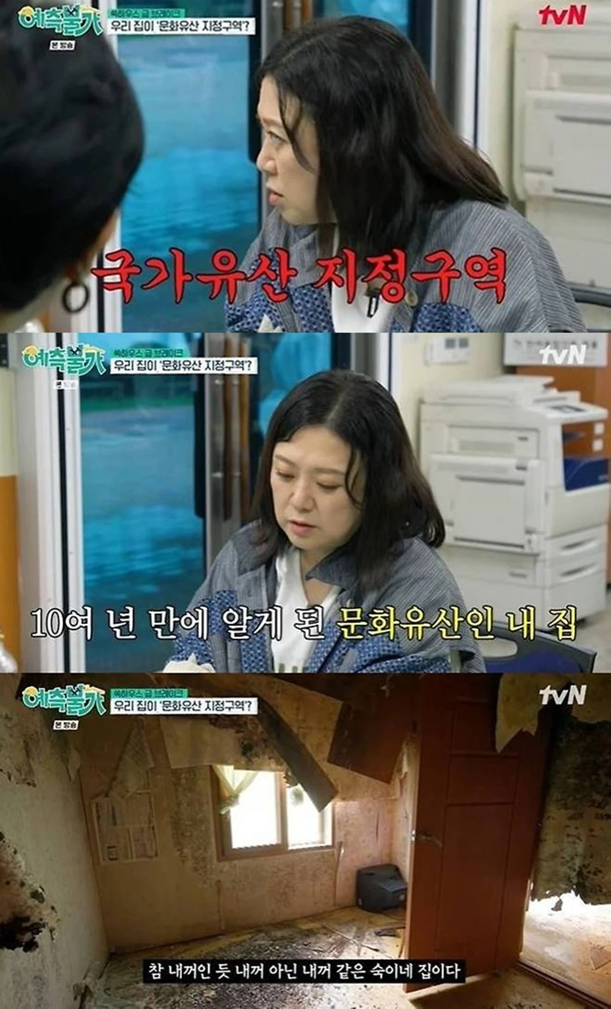 tvN '예측불가'