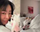 이혜영, 반려견 얼굴에 하트+상처 낙서…'동물 학대' 논란 일파만파 [엑's 이슈]