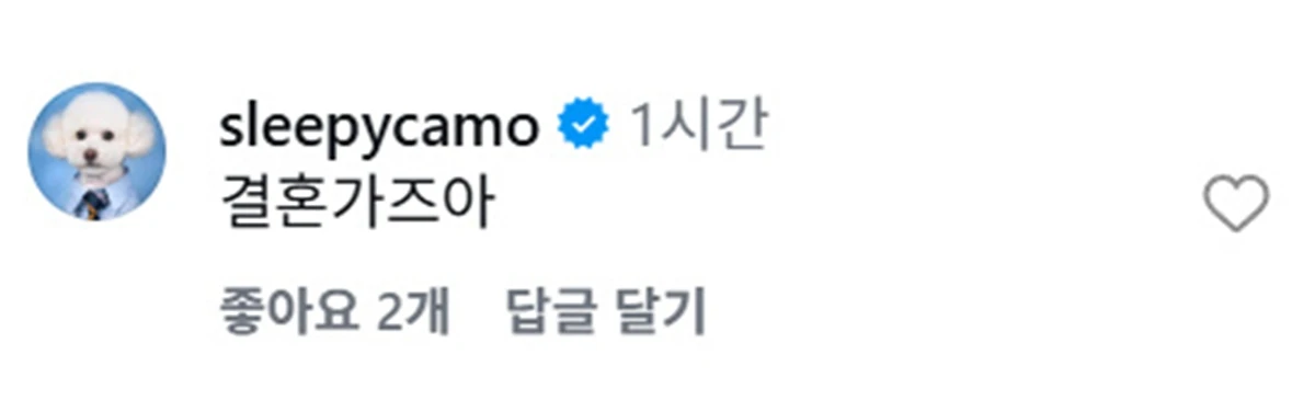 웹 매거진 '에이치아이피' 공식 계정에 댓글 단 슬리피