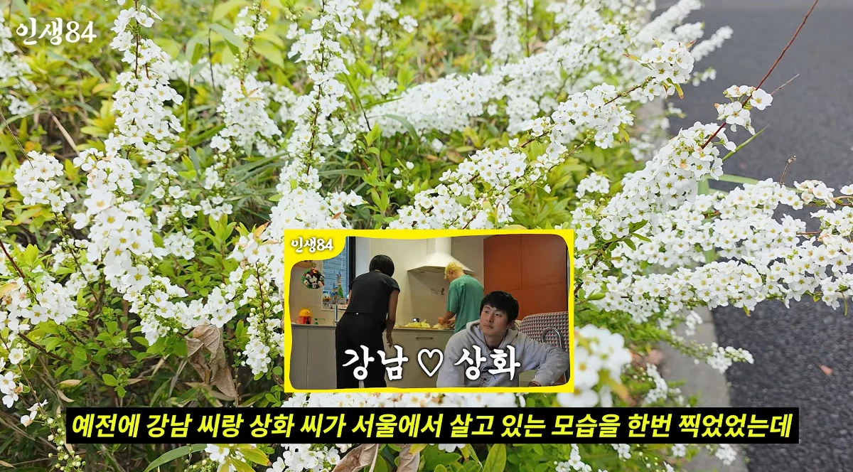 사진= 유튜브 '인생84'