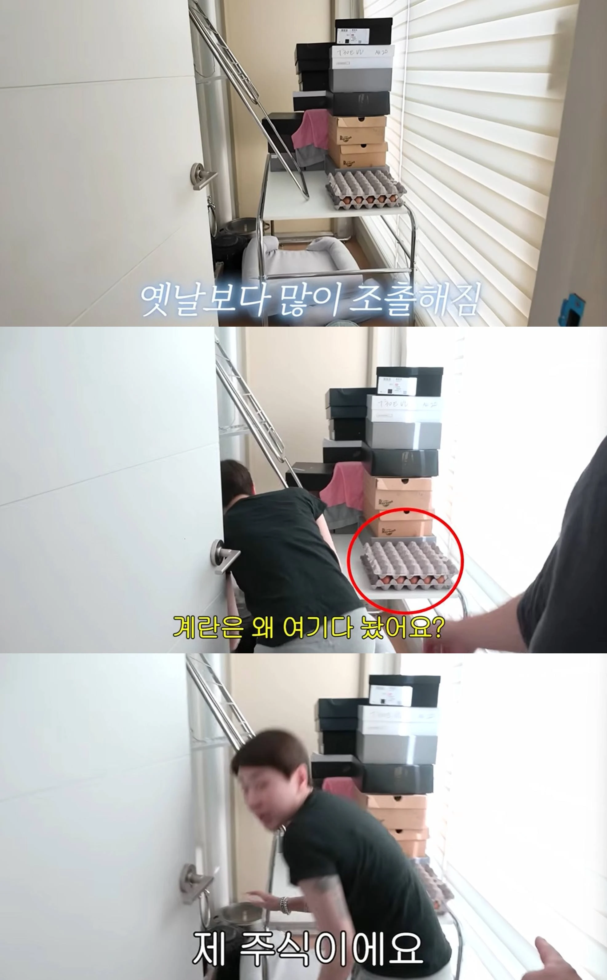 유튜브 채널 '개과천선 서인영'