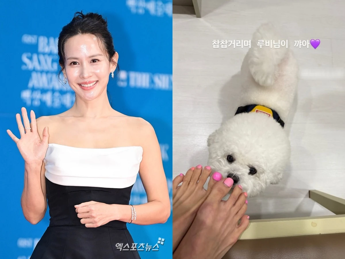 사진 = 엑스포츠뉴스 DB, 조여정 인스타그램 스토리