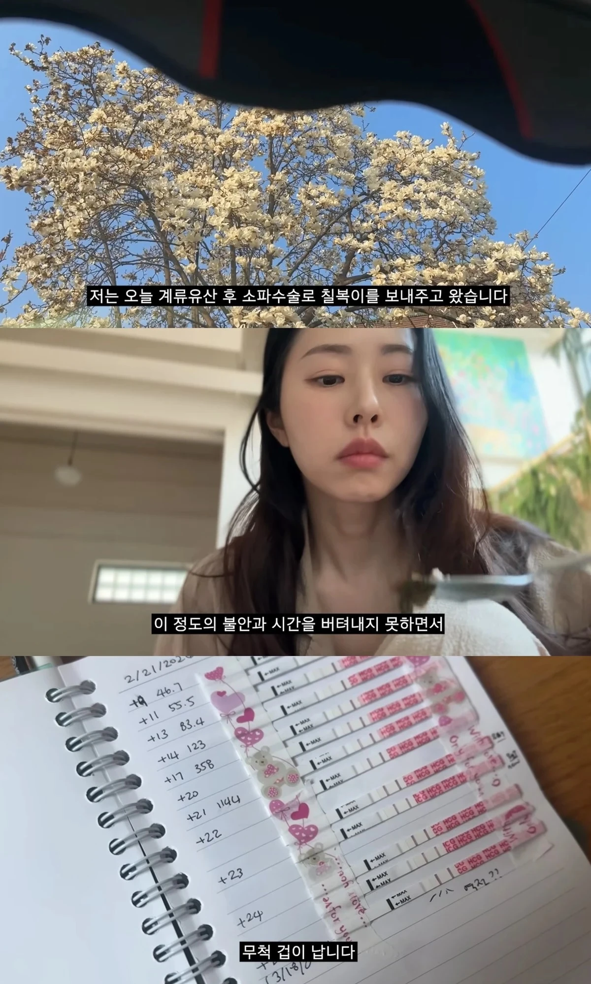 유튜브 채널 '서동주의 또.도.동'