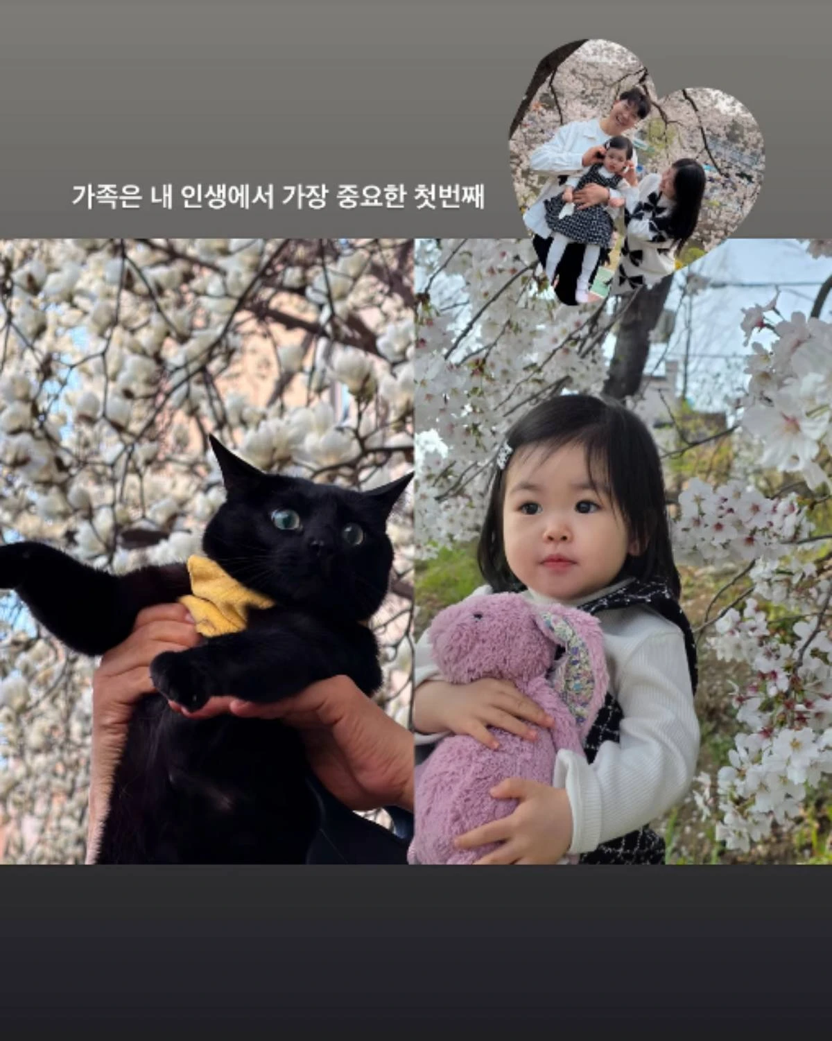 김다예 인스타그램 스토리